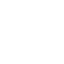 bus bus